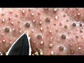 Download Lagu Make Your Day Satisfying with An Popping New Videos #08