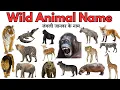Download Lagu Animals Name | Wild Animal Name | Forest Animals Name with pictures | names of wild animals