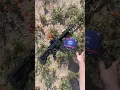 Absolute Plinker Mossberg 715T 22LR