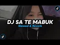 Download Lagu DJ Sa Te Mabuk - Slowed \u0026 Reverb 🎧