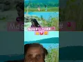Download Lagu Md@#Nurul##🌹👌👃💋ngh
