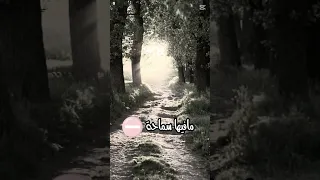 الذيب ذيب نيتو مخدوعة اكسبلور 