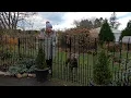 Installing a No Dig Fence for our dog Gracie Northlawn Flower Farm