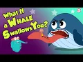 What If A Whale Swallows You Swallowed By A Whale Dr Binocs Show Peekaboo Kidz