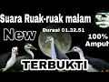 Download Lagu Suara panggil burung Ruak-ruak malam. Sekali bunyi langsung terbukti cocok untuk OTT