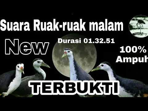 Download MP3 Suara panggil burung Ruak-ruak malam. Sekali bunyi langsung terbukti cocok untuk OTT