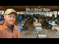 Selling 400 Birds At The Chicken Auction
