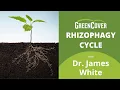 Rhizophagy Cycle with Dr James White