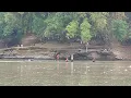 Download Lagu FULL BABON...! 2 HARI MANCING IKAN BESAR DI LOKASI MANCING PENUH IKAN BESAR