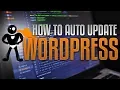 How To Automatically Update WordPress And Your
