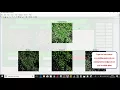 Removal weed detection using image processing