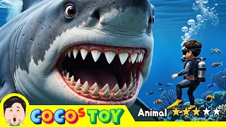 How I met a megalodon – Ocean Animal Quiz⭐ㅣsea animals quiz for kids ㅣCoCosToy