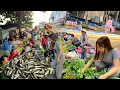 Download Lagu Xuất hiện đặc sản mùa nước nổi vùng núi biên giới Campuchia - Cá Linh Non 200K chợ Nhà Bàng