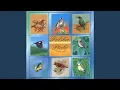 Download Lagu Meadow Pipit (Swiergotek lakowy)