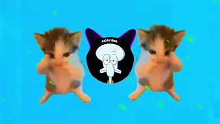 dj kicau mania remix slow viral fyp tiktok full song newest 2026
