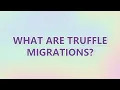 What are truffle migrations 2 SOLUTIONS