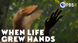 What Drove Life Into The Trees?