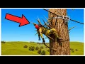 I Abused The Rust Exploit They Never Fixed