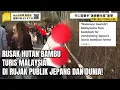 Lagu Mampus! Turis Malaysia Ngerusak Hutan Bambu, Publik Jepang Murka!
