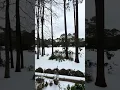 Did it really snow on Hilton Head Island Yes it did
