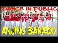 Download Lagu GOYANG ANJING BAKADO - BALASAN ANJING KACILI TETEW - DANCE IN PUBLIC - Choreography by Diego Takupaz