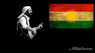 شفان برور جاني جاني دندنها