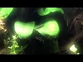 An innocent warrior (from the Moana Soundtrack)