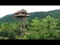 Download Lagu How To Build House On The Tree 12m And Swimming Pool [ Part I ]