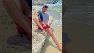 ظهور قرش في شاطئ الاسكندرية 