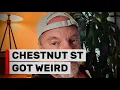 Drag Brunch Taco Tuesday the Lesbian Unicorn - This Week On Chestnut Street