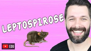 LEPTOSPIROSE - A DOENÇA DO RATO | Biologia com Samuel Cunha