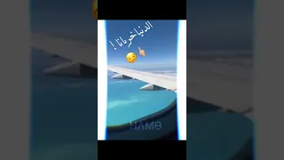 حالات وتس احمد موزه لسا منزلش شقلبتي احساسي   دندنها