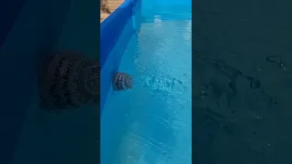 Don’t Forget to Clean Your Filter #easypoolmaintenance #pool