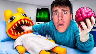 PROBÉ EL HOSPITAL DE ANIMALES MÁS RARO DEL MUNDO...