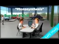 Photosynthesis What is photosynthesis and how does it work For kids Fun fact and quiz Let s Study