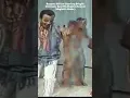 Download Lagu Respect Africa Starring Bright Chimezie And His Zigima Sound (Highlife Music)
