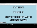 TURTLE - MOVE TURTLE WITH ARROW KEYS