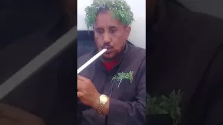 مزمار محمد علي السيد دندنها
