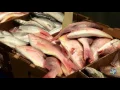Seafood from Restaurant Depot