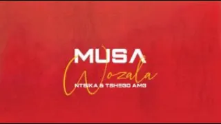 musa wozala ft ntsika u0026 tshego amg