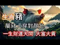 Download Lagu 生肖豬必看 一生最吉利的顏色 最忌諱的顏色 屬豬人穿對顏色 一生財運大開 大富大貴#生肖豬#屬豬人#豬