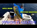 St Augustine Fishing Mahi Mutton and Almaco
