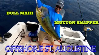 St Augustine Fishing Mahi Mutton and Almaco