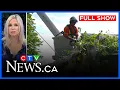 Severe winds topple trees onto houses CTV News Ottawa at Six for August 14 2026