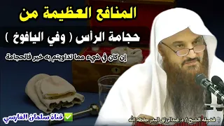 احتجم رسول الله ﷺ بلحي جمل   حجامة الرأس وفي اليافوخ   إن كان في شيء مما تداويتم به خير فالحجامة دندنها