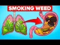 Download Lagu What Happens To Your Body When Smoking Weed