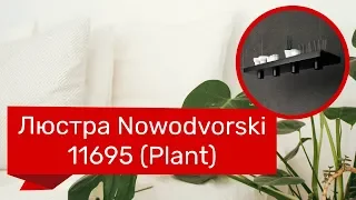 YouTube video preview yNZAI1izRck
