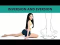 Inversion Eversion Opposition and Reposition - TERMINOLOGY