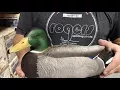Avery GHG Series Decoys Explained