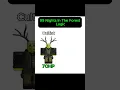 Download Lagu Cultist 😈 vs Small Wolf 🐺 — Wolf Has MORE HP?! | 99 Nights in the Forest Logic